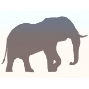 Наклейка "Слон" цвет на выбор