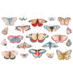 Наклейка "Метелики"