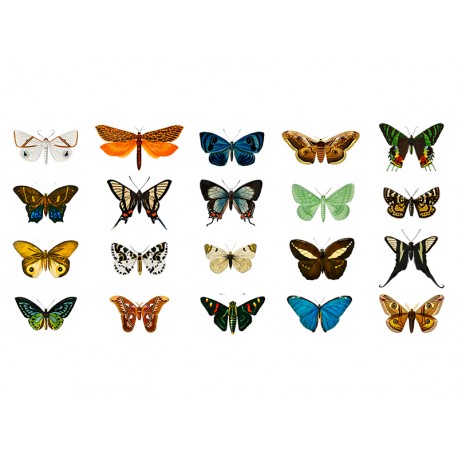 Наклейка "Бабочки" комплект