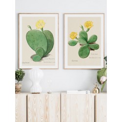 Серия постеров в рамках "Cactus"