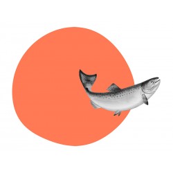 Наклейка "Salmon"