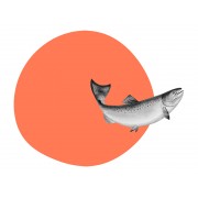 Наклейка "Salmon"