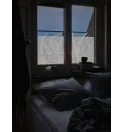 Пленка матовая с рисунком "Папоротник"
