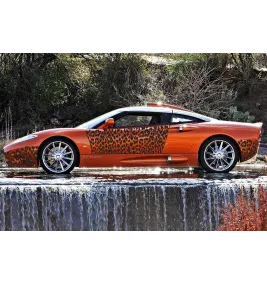 Наклейка "Leopard" 