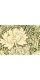 Пленка матовая с рисунком "Pattern William Morris"