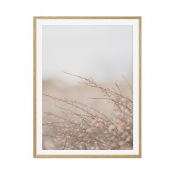 Постер в рамці "Dried flowers"