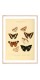 Серия постеров в рамках "Botany. Butterflies"