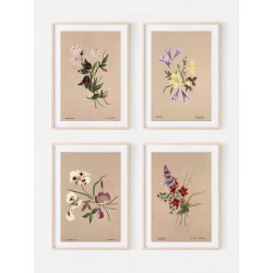 Серія постерів в рамках "Botanical. Flowers"