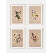 Серія постерів в рамках "Botanical. Flowers"