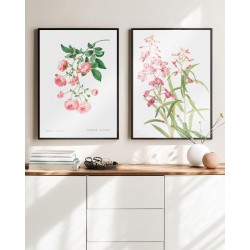 Серія постерів в рамках "Botanical flowers"