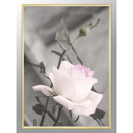 Постер в рамке "Rose"