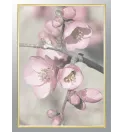 Постер в рамці "Blooming" Постер в рамці "Blooming"