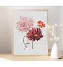 Постер в рамці "Flowers. Botany"