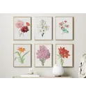 Постер в рамке "Flowers. Botany" Постер в рамке "Flowers. Botany"
