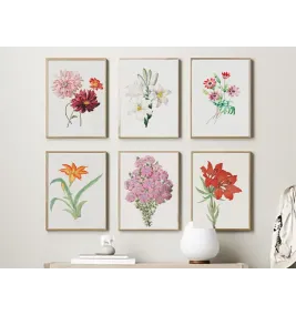 Постер в рамке "Flowers. Botany"