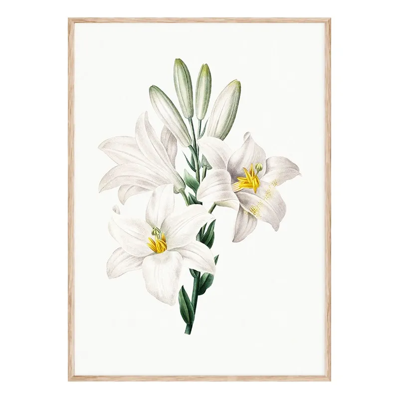 Постер в рамці Flowers. Botany" Постер в рамці Flowers. Botany"