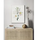 Постер в рамці Flowers. Botany" Постер в рамці Flowers. Botany"