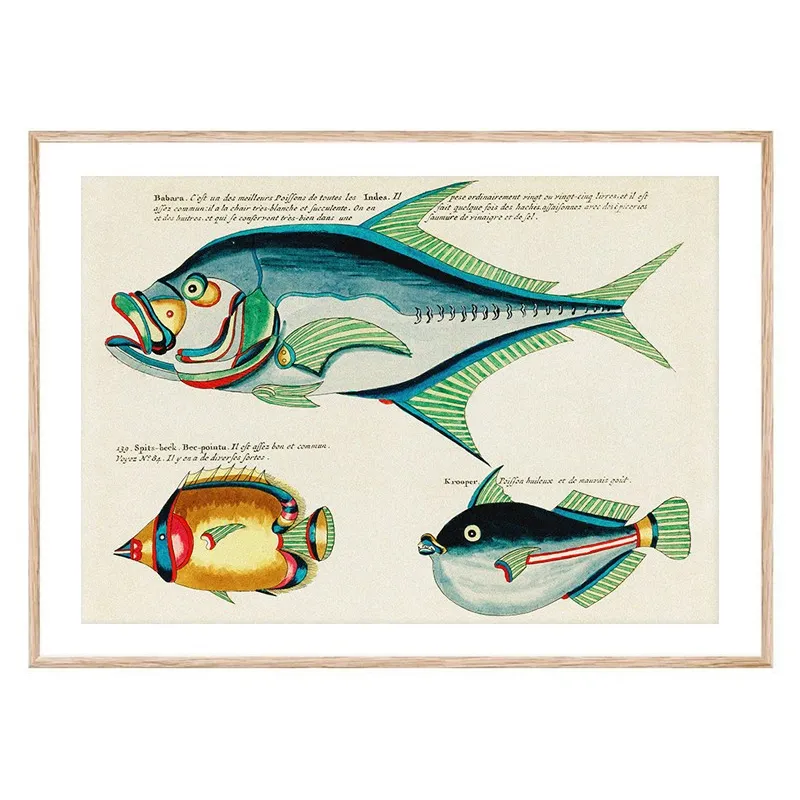 Постер в рамці "Fish. Botanical" Постер в рамці "Fish. Botanical"
