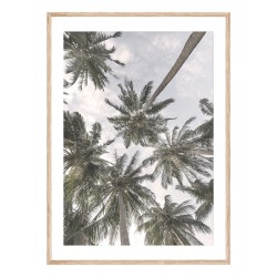 Постер в рамке "Palms"