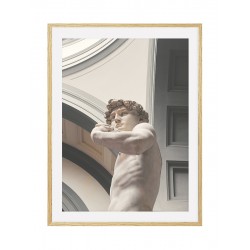Постер в рамке "David. Michelangelo"