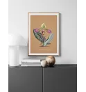 Постер в рамке "Collection Orchids Постер в рамке "Collection Orchids