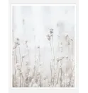 Постер в рамці "Lavender"