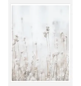 Постер в рамці "Lavender"