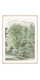 Постер в рамке "Деревья Субиако. Джозеф Август Книп"