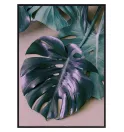 Постер в рамке "Monstera" Постер в рамке "Monstera"
