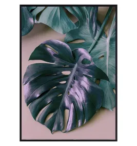 Постер в рамке "Monstera"