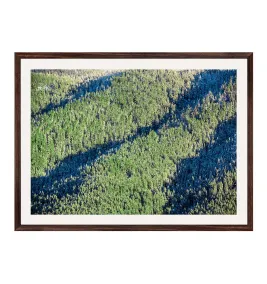 Постер в рамці "Forest"