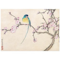 Репродукція "Птах з квітучою сливою. Чжан Жоай. 18 століття"