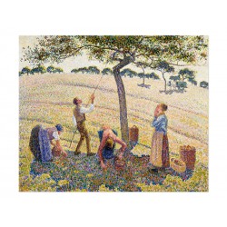 Репродукція "Урожай яблук. Каміль Піссарро. 1888"