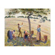 Репродукція "Урожай яблук. Каміль Піссарро. 1888"