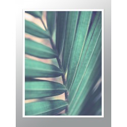 Постер в рамке "Palm"