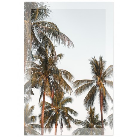 Постер на стекле "Palms"