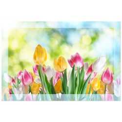 Постер на стекле "Tulips"
