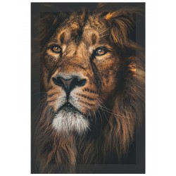 Постер на склі "Lion"