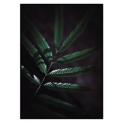Постер в рамке "Plant"