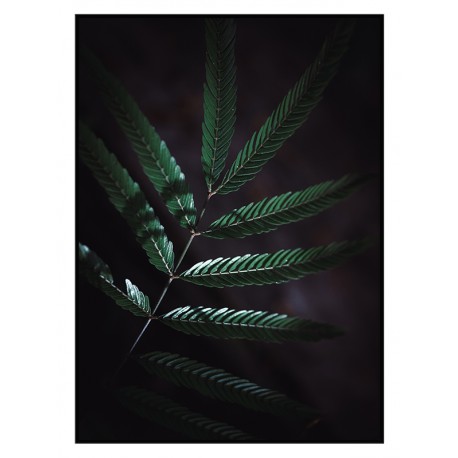Постер в рамке "Plant"