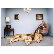 Постер "Лежащий на ковре лев" 