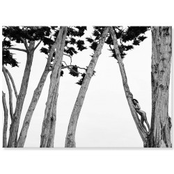 Постер "Кендалл на деревьях. Фотограф Рассел Джеймс"