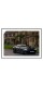 Постер "2023 Aston Martin DBS 770 Ultimate" 