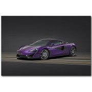 Фотокартина "McLaren 570S" размер на выбор