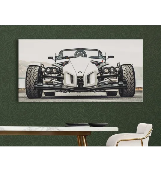 Фотокартина "Ariel Atom" размер на выбор