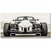 Фотокартина "Ariel Atom" размер на выбор