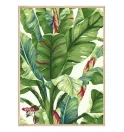 Серия постеров в рамках "Tropical"