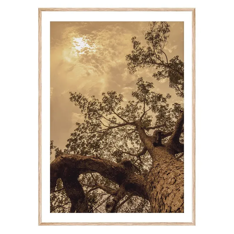 Постер в рамці "Branches" Постер в рамці "Branches"