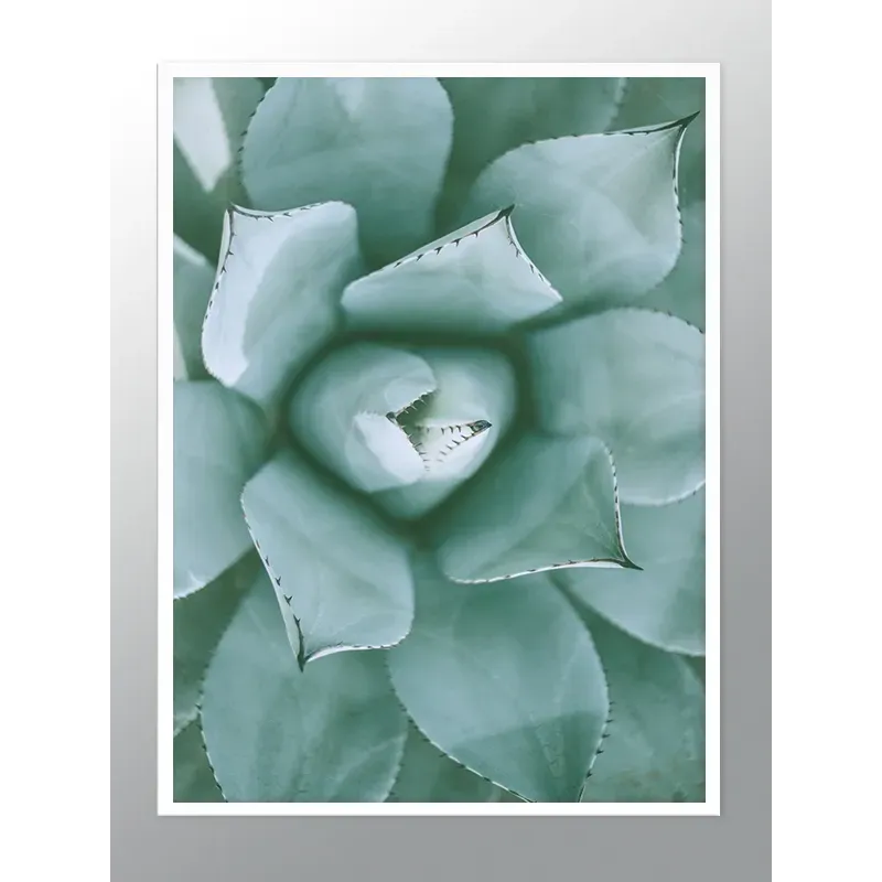 Постер в рамці "Succulent" Постер в рамці "Succulent"