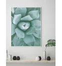 Постер в рамці "Succulent" Постер в рамці "Succulent"